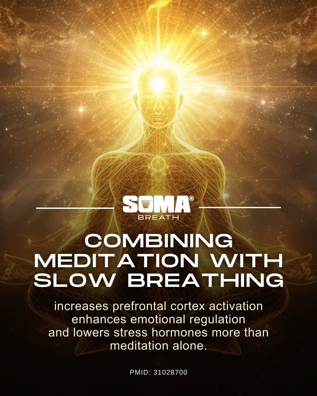 Post 5 by SOMA Breath | Breathwork, Training & Retreats on Instagram (image)