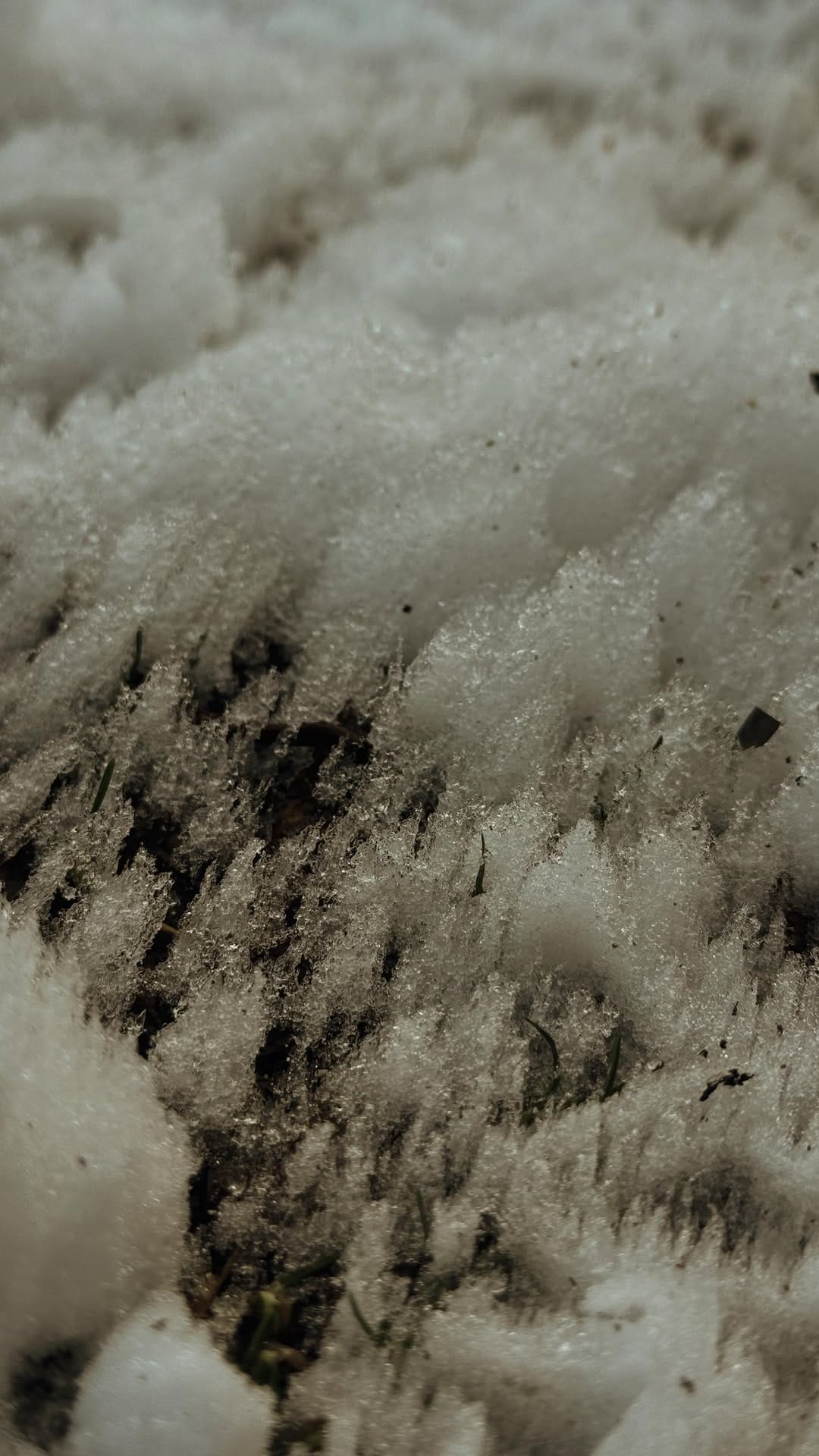 Post 5 by Wild + Wood Skincare ™️ on Instagram (video)