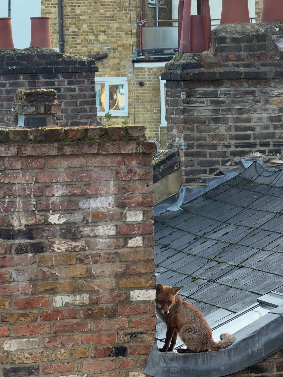 Post 8 by Steve Gregory - London on Instagram (image)