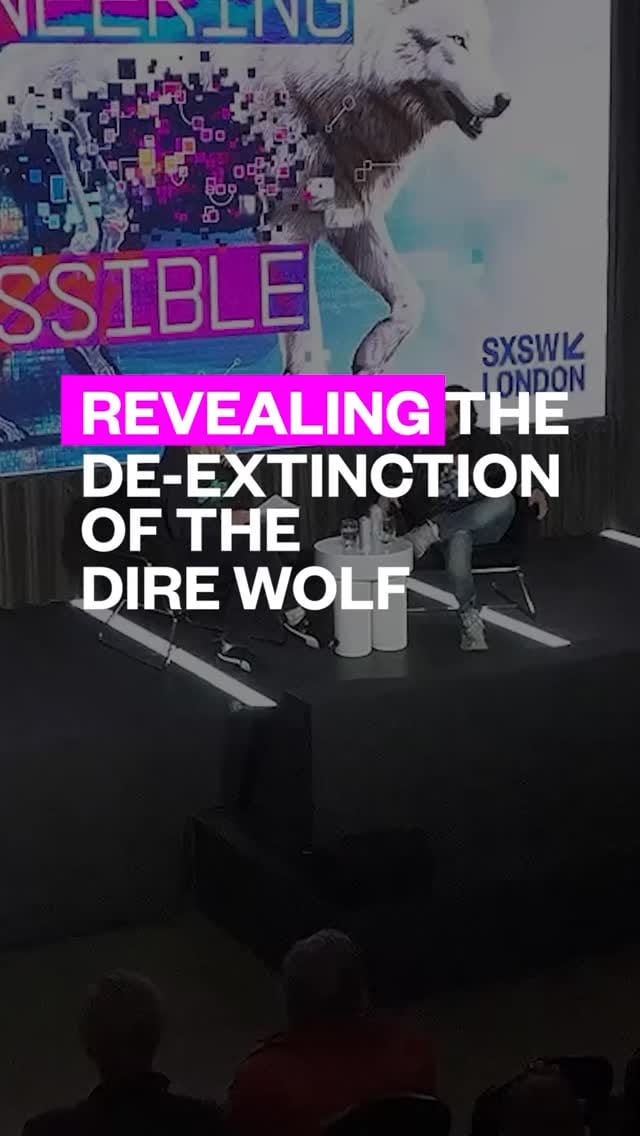 Post 4 by SXSW London on Instagram (video)