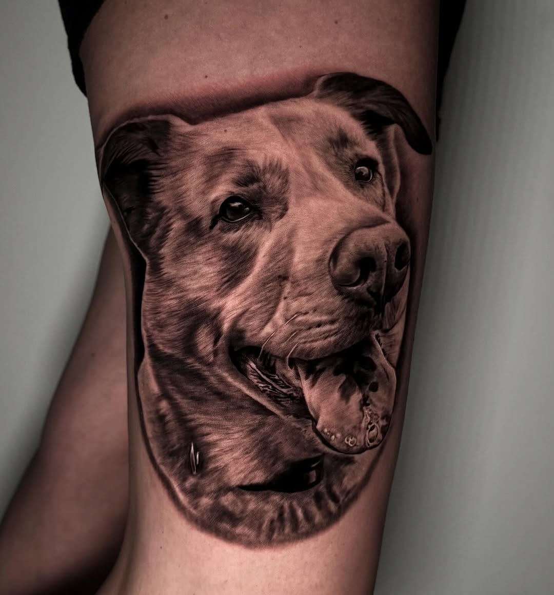 Post 4 by Tyler St Denis on Instagram (image)