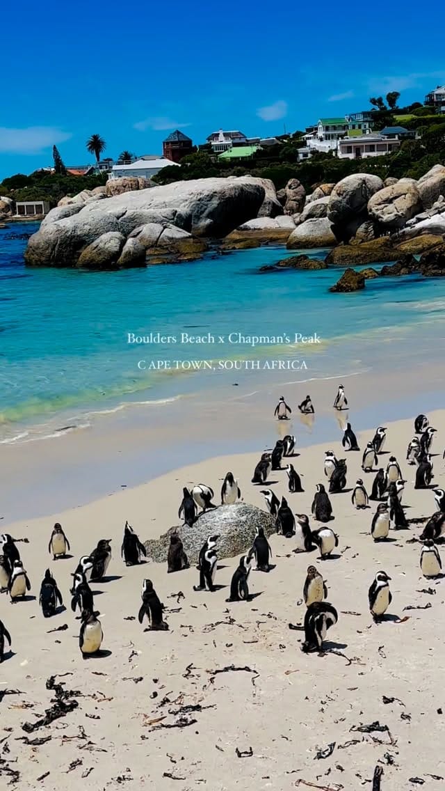 Post 4 by Carolyne Sogomo on Instagram (video)