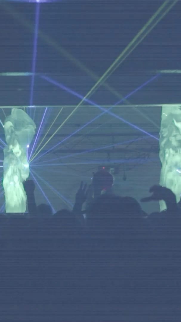 Post 10 by Eclectic Zoo on Instagram (video)