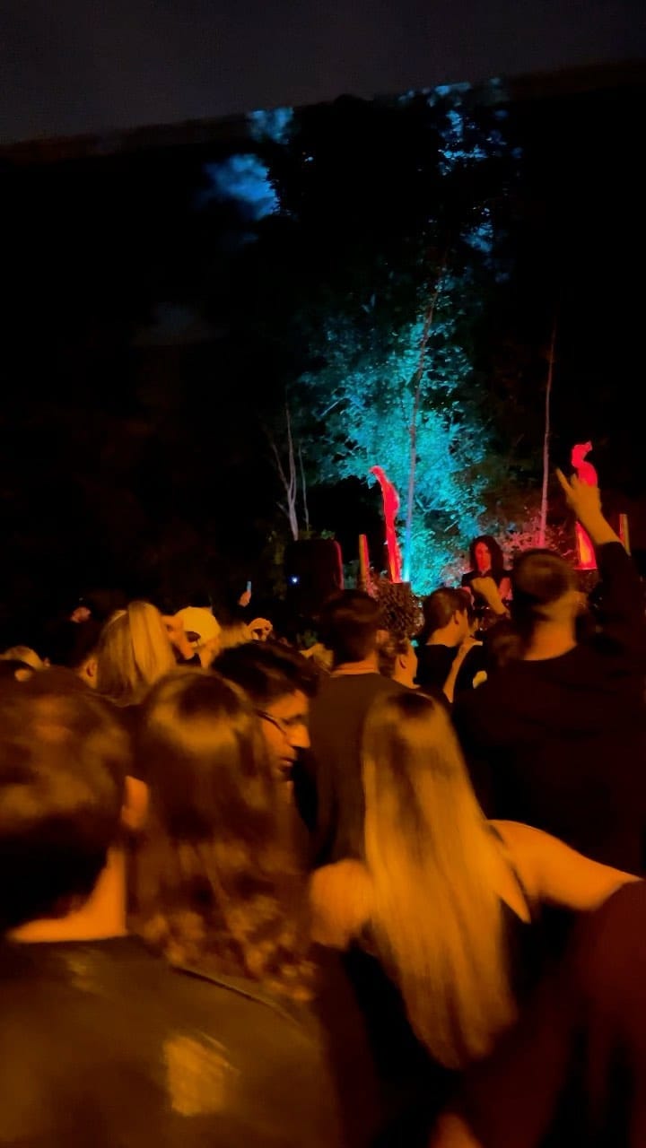 Post 9 by Eclectic Zoo on Instagram (video)