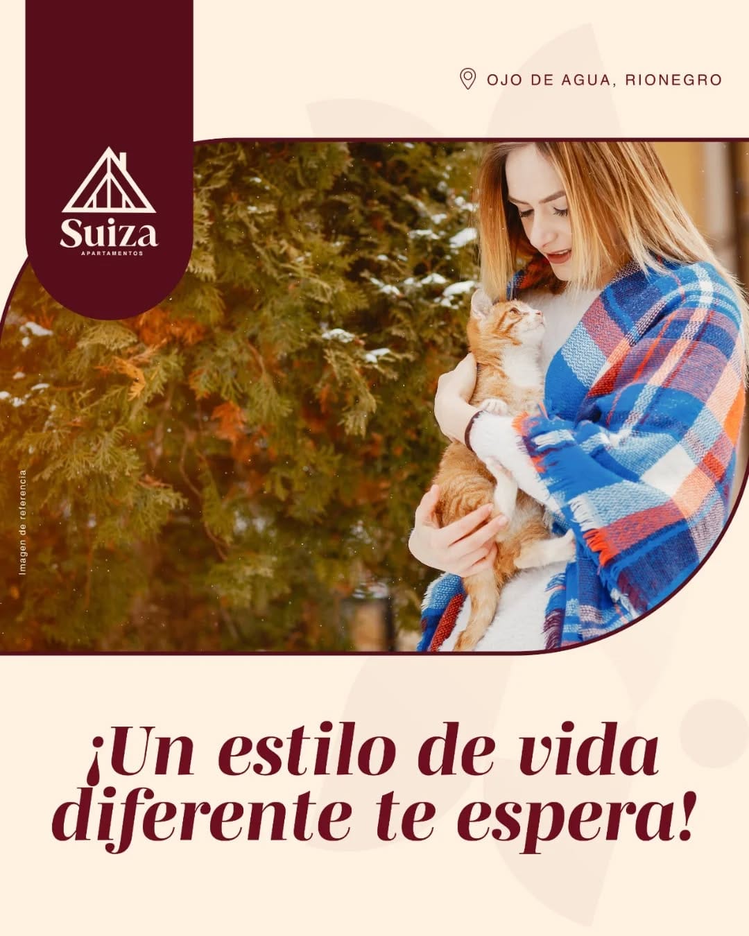 Post 3 by Suiza Apartamentos on Instagram (image)