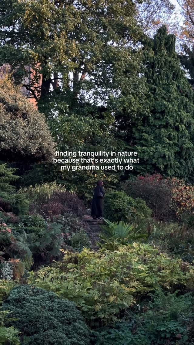Post 7 by Hafsa on Instagram (video)