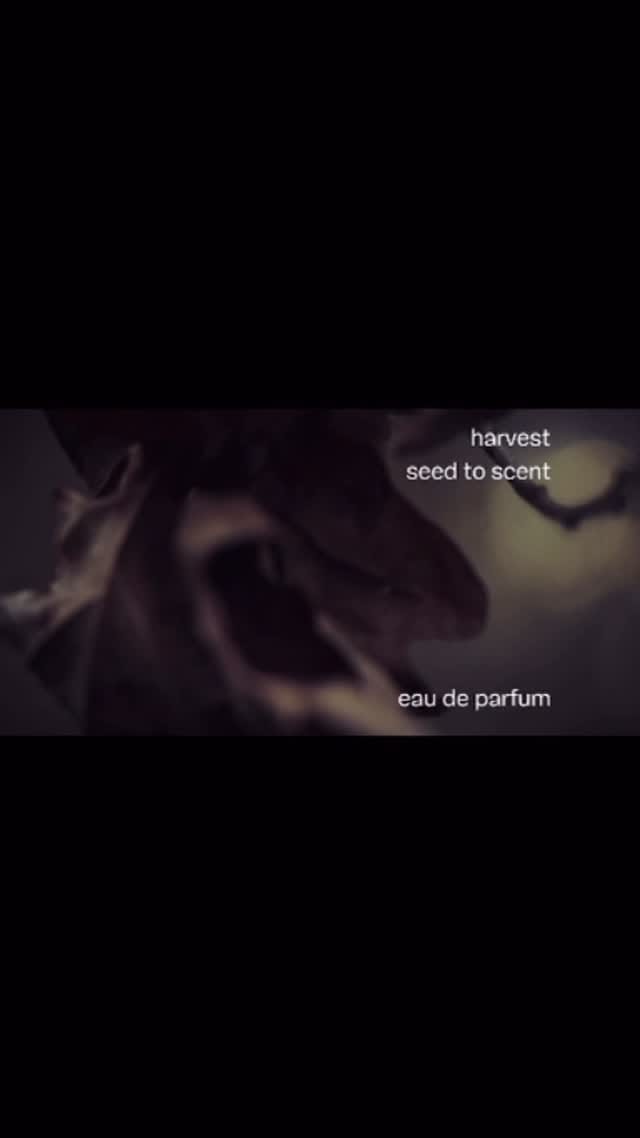 Post 9 by Harvest on Instagram (video)