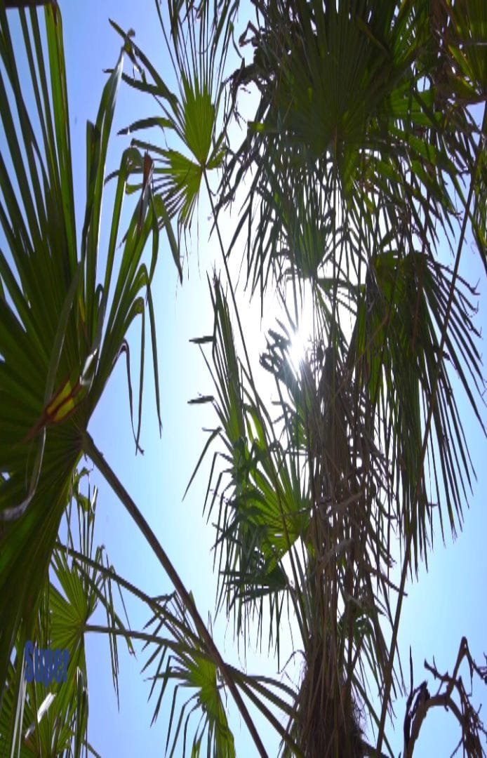 Post 10 by Milad meidani on Instagram (video)