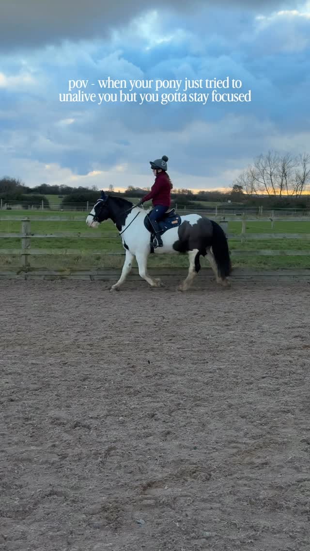 Post 1 by Sian ✨ 𝘌𝘲𝘶𝘦𝘴𝘵𝘳𝘪𝘢𝘯 𝘊𝘰𝘯𝘵𝘦𝘯𝘵 𝘊𝘳𝘦𝘢𝘵𝘰𝘳🇬🇧 on Instagram (video)