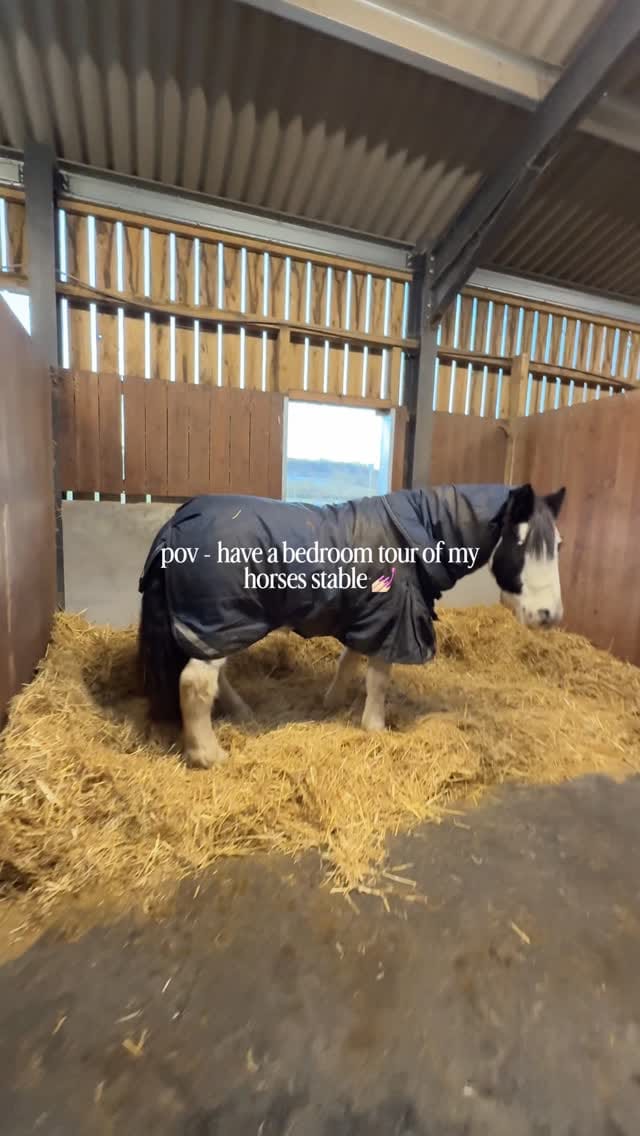 Post 7 by Sian ✨ 𝘌𝘲𝘶𝘦𝘴𝘵𝘳𝘪𝘢𝘯 𝘊𝘰𝘯𝘵𝘦𝘯𝘵 𝘊𝘳𝘦𝘢𝘵𝘰𝘳🇬🇧 on Instagram (video)
