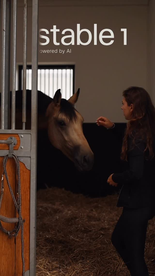 Post 9 by Masha | my life with horses on Instagram (video)