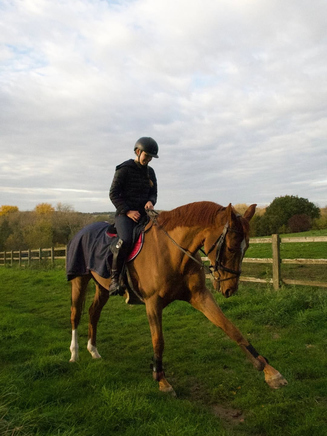 Post 2 by Masha | my life with horses on Instagram (carousel)