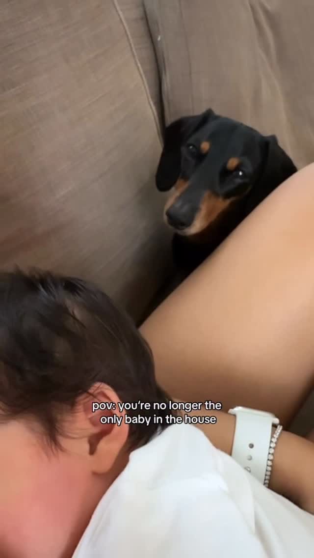 Post 6 by 🎀 NAVY & INDY - MINI QWEENS 🐾 on Instagram (video)