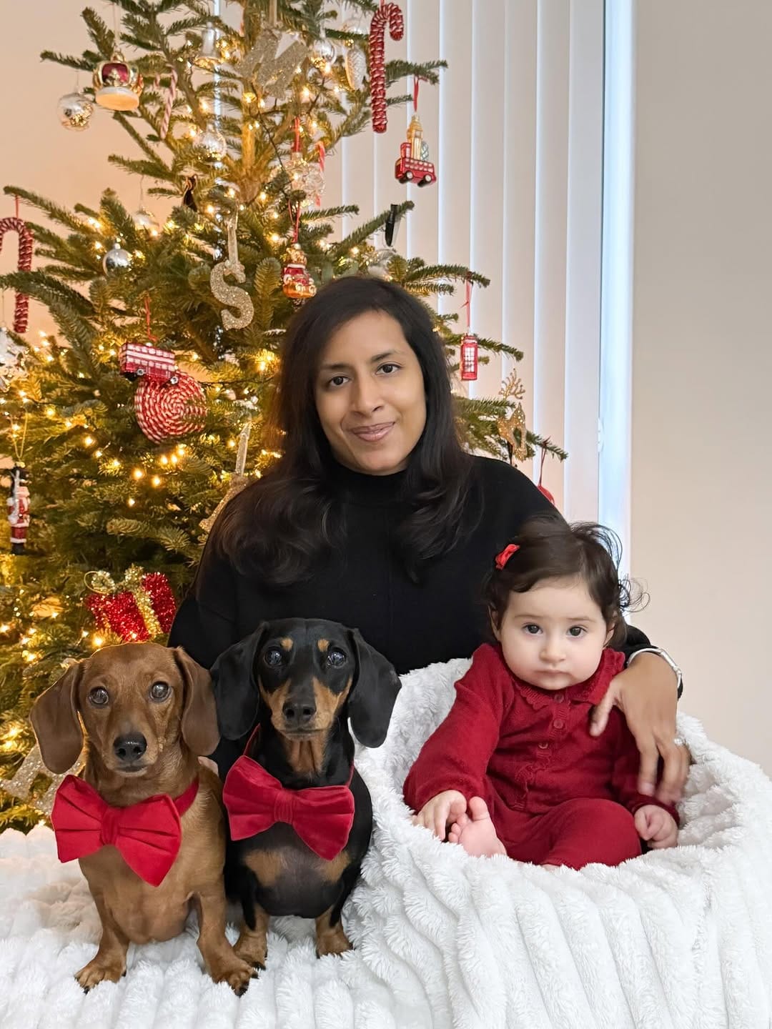 Post 2 by 🎀 NAVY & INDY - MINI QWEENS 🐾 on Instagram (carousel)