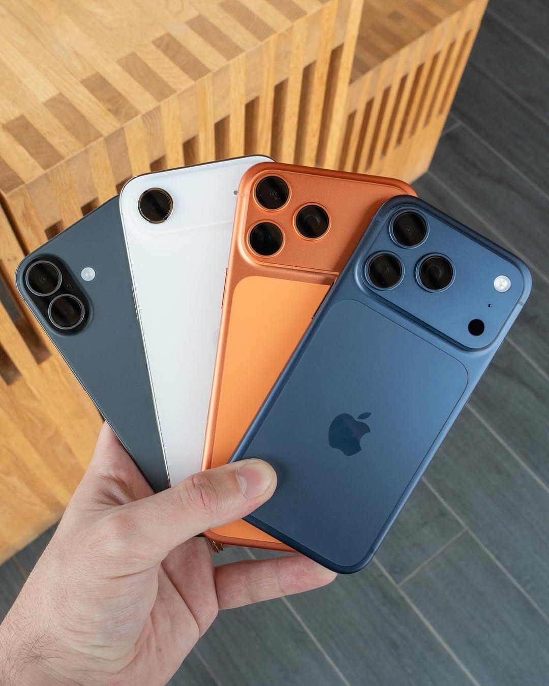 Post 5 by Dion Schuddeboom on Instagram (image)