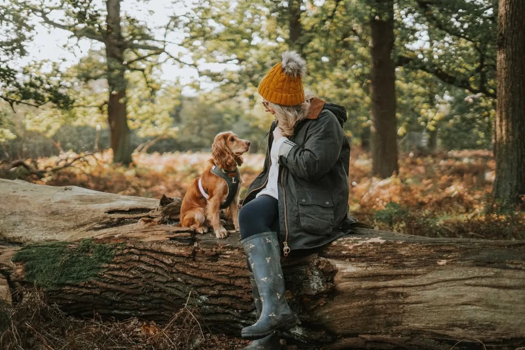 Post 8 by Laura & Luna | Outdoor and Country Lifestyle on Instagram (image)