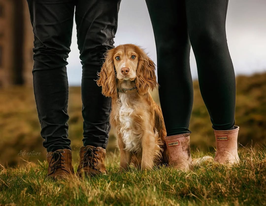 Post 9 by Laura & Luna | Outdoor and Country Lifestyle on Instagram (image)