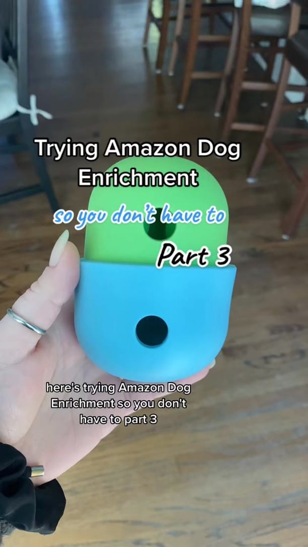 Post 9 by Chelsea Barstow I Dog Enrichment Ideas on Instagram (video)