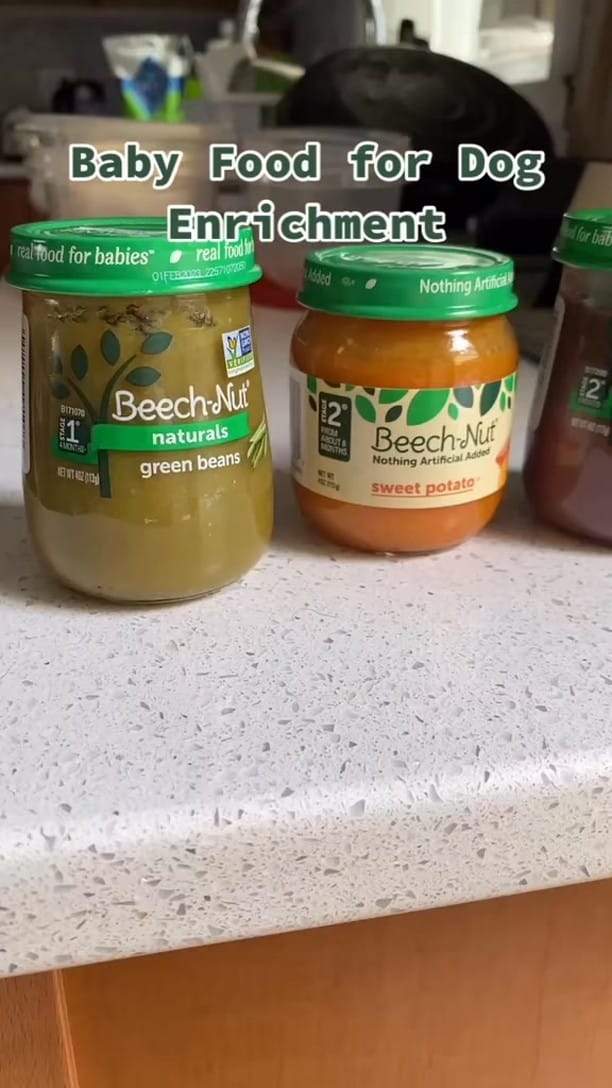 Post 10 by Chelsea Barstow I Dog Enrichment Ideas on Instagram (video)