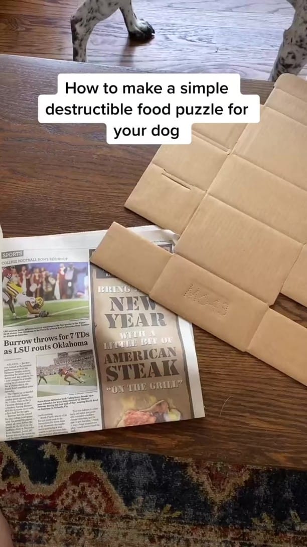 Post 8 by Chelsea Barstow I Dog Enrichment Ideas on Instagram (video)
