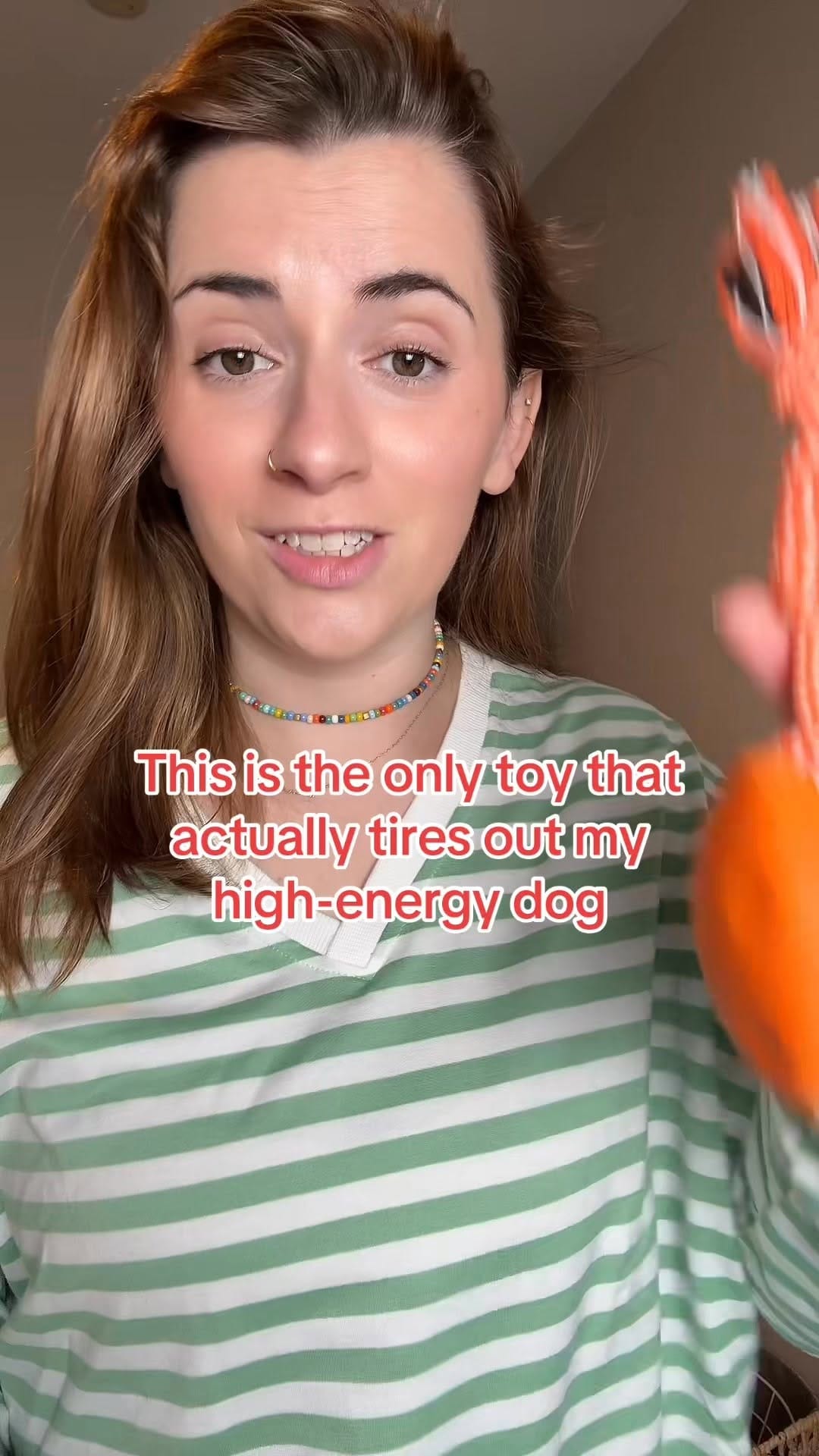 Post 2 by Chelsea Barstow I Dog Enrichment Ideas on Instagram (video)