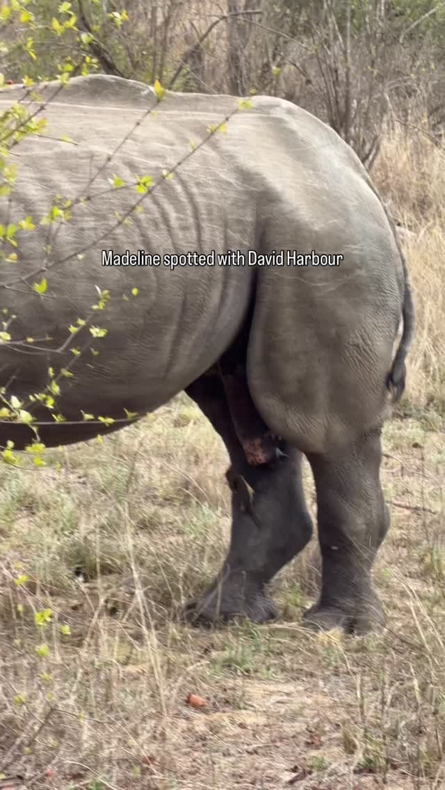 Post 10 by Mark Jamiel on Instagram (video)