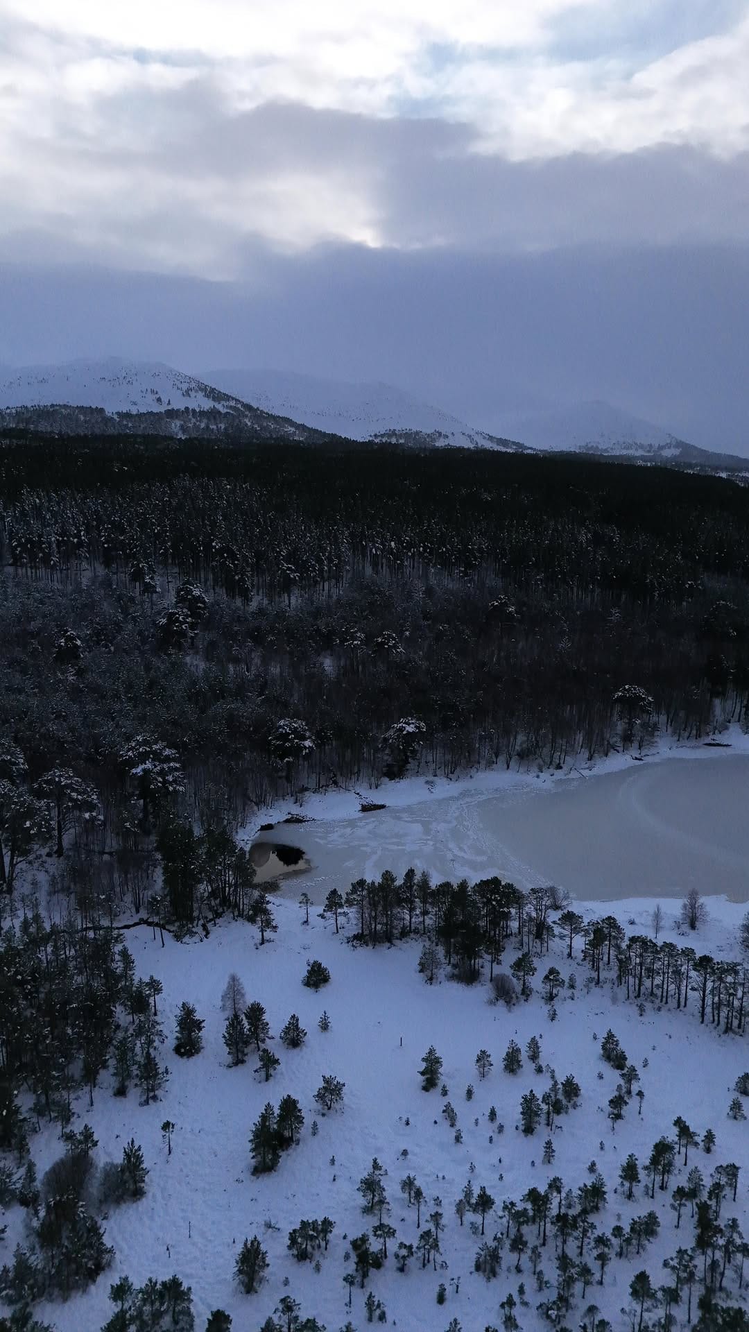 Post 7 by Craig Dodds (McDougall) on Instagram (video)