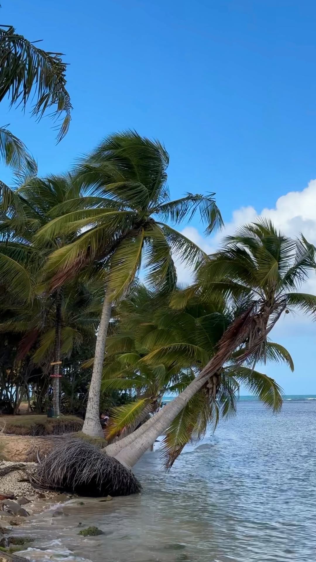 Post 3 by Ashlee on Instagram (video)