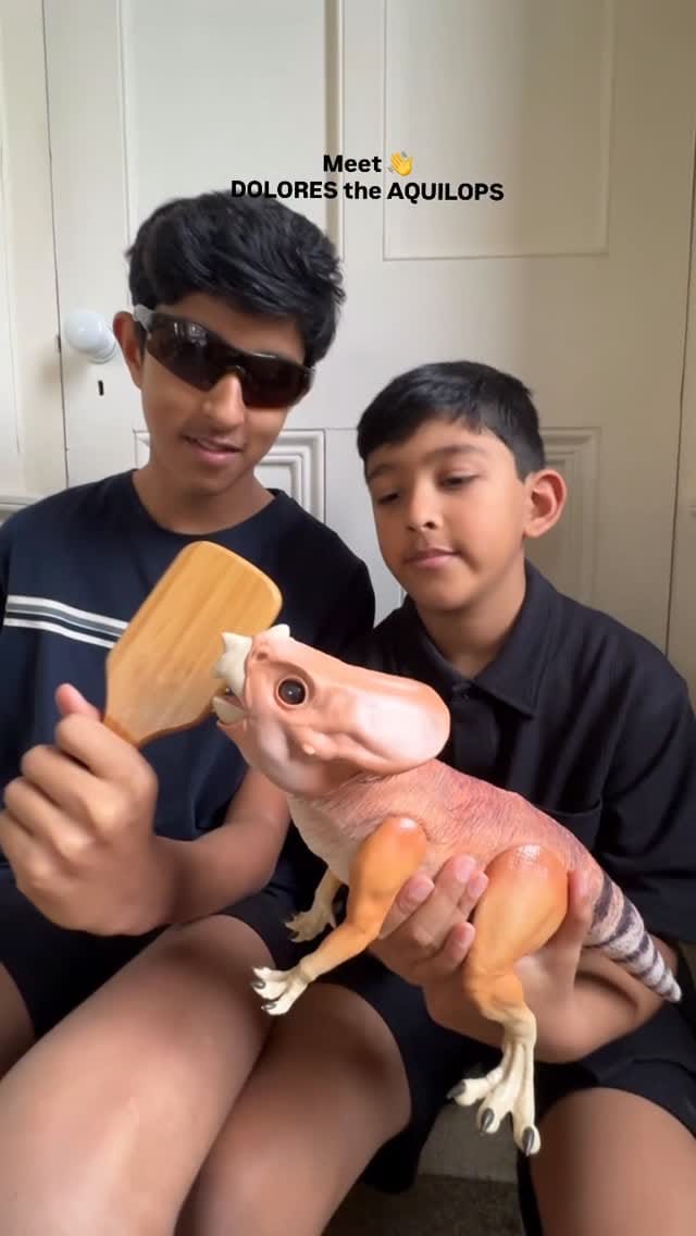 Post 7 by MANISHA ANAND | Uk Lifestyle & Travel on Instagram (video)