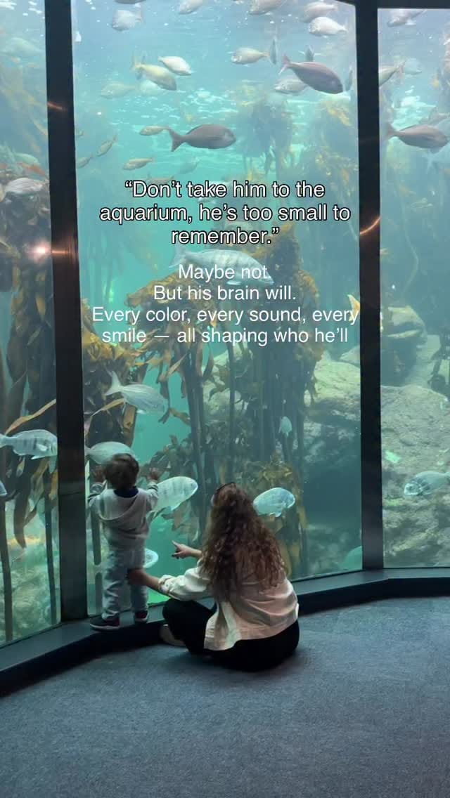 Post 9 by Tuba Cobek Okutucu on Instagram (video)