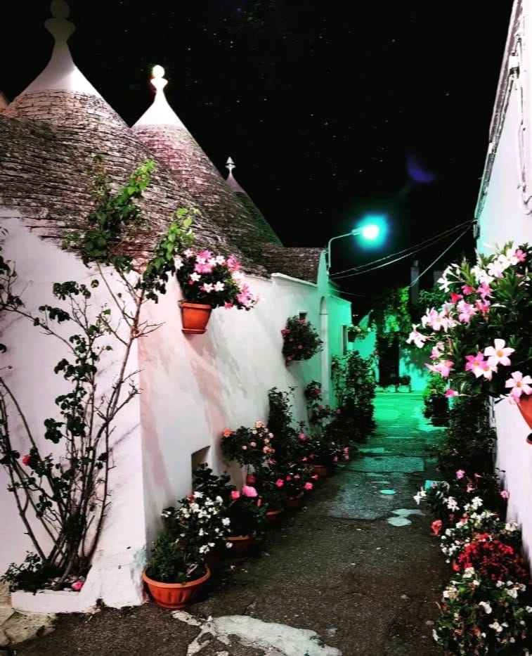 Post 3 by Dommy Castriotta on Instagram (image)