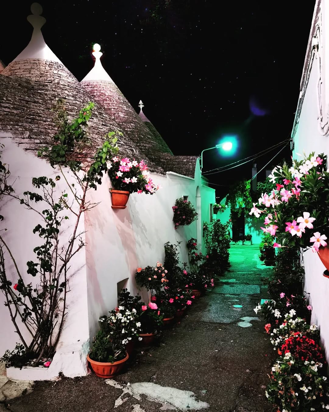 Post 6 by Dommy Castriotta on Instagram (image)
