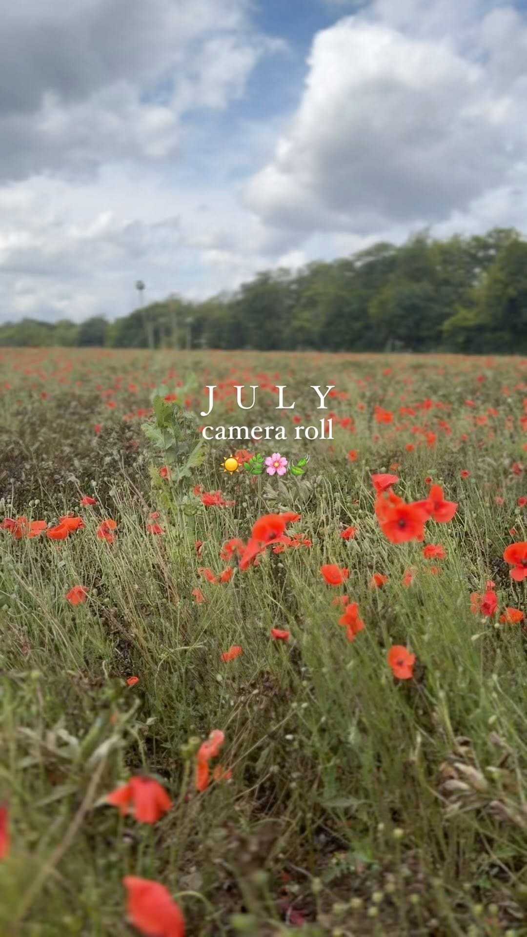 Post 6 by Emi | Interiors, Styling & Renos on Instagram (video)