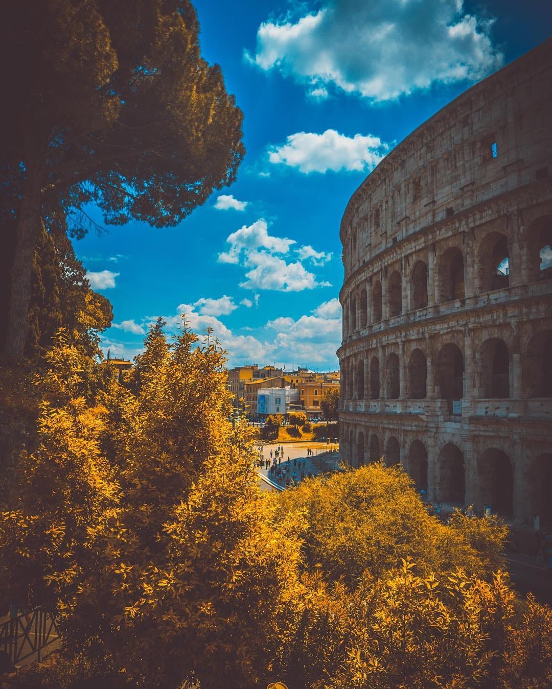 Post 3 by Thomas Rogers on Instagram (image)