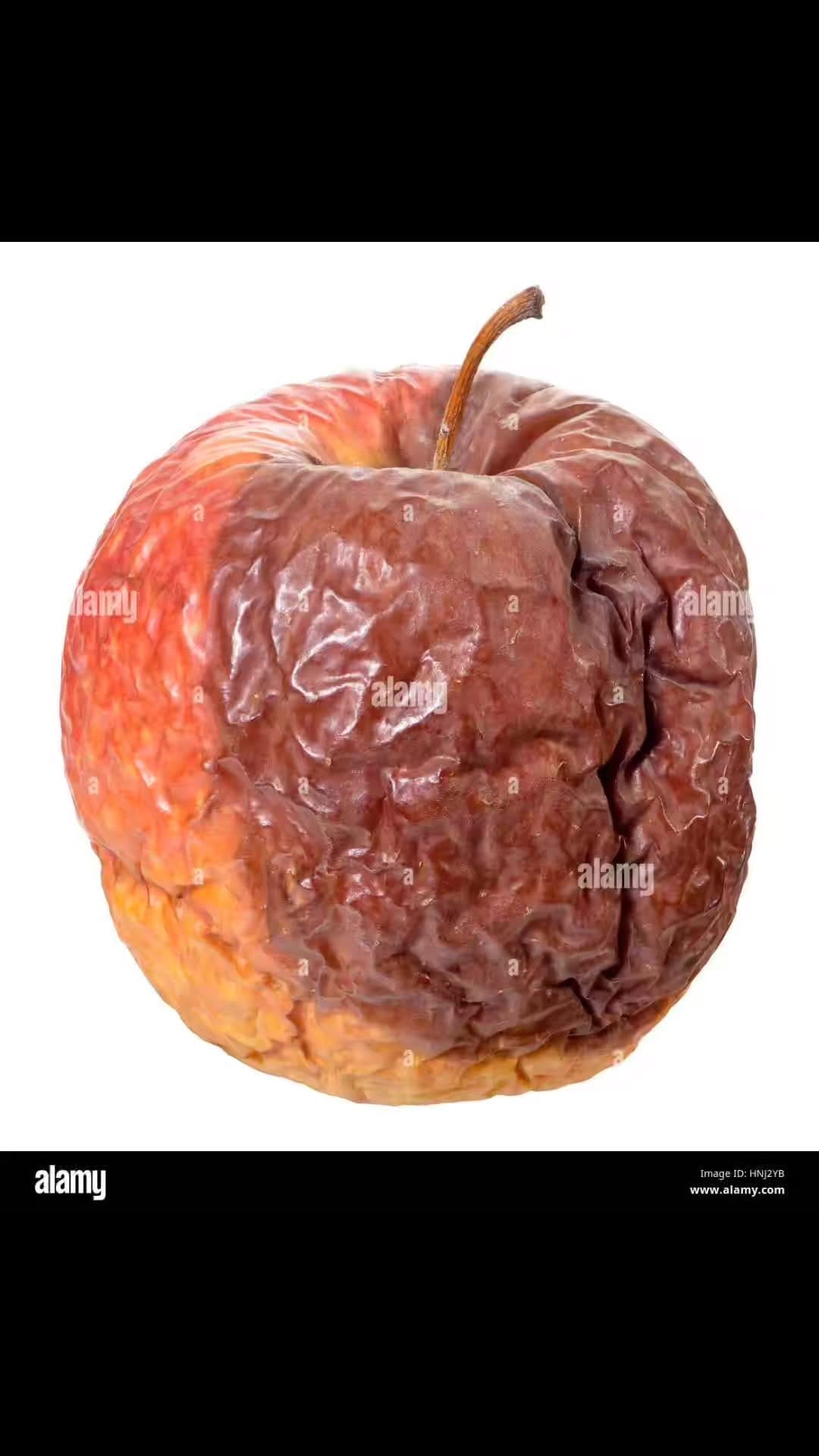 Post 3 by Roberto Tamagnini on Instagram (video)