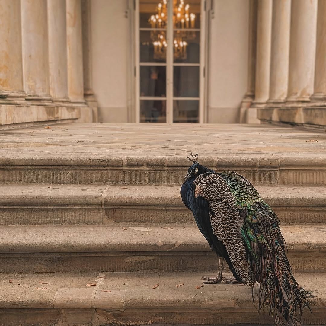 Post 3 by Daniel Antão da Silva on Instagram (image)
