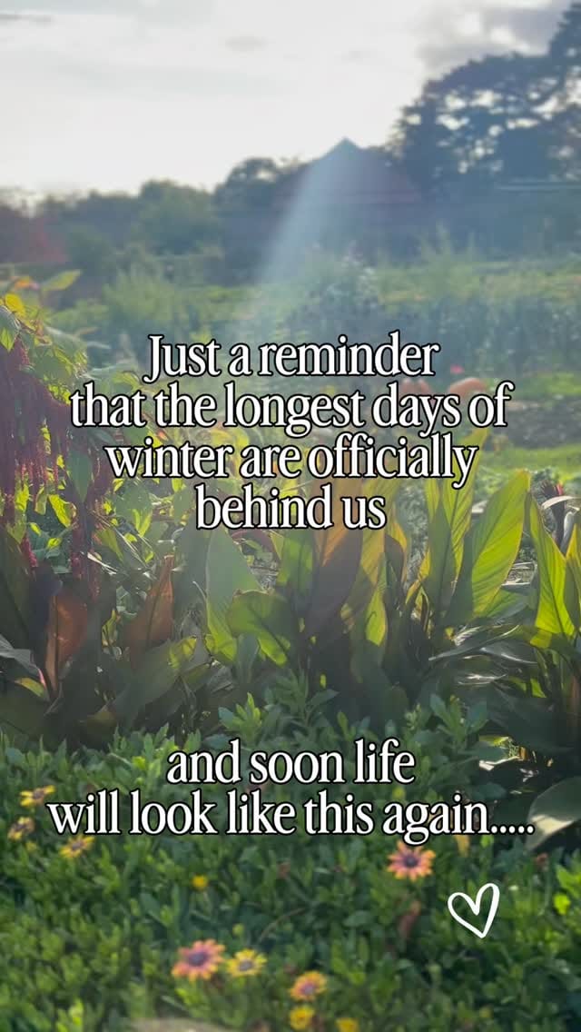 Post 4 by Esme Severn on Instagram (video)
