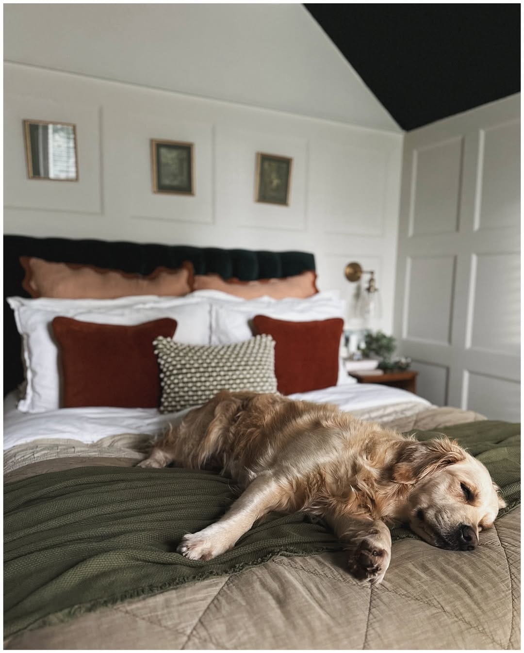 Post 4 by TASH [& BEN] WOOD 🐾 on Instagram (image)