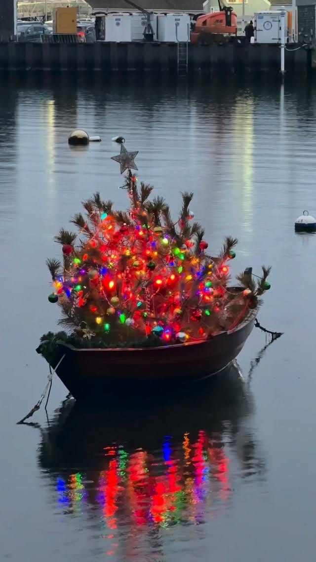 Post 1 by Allie on Instagram (video)