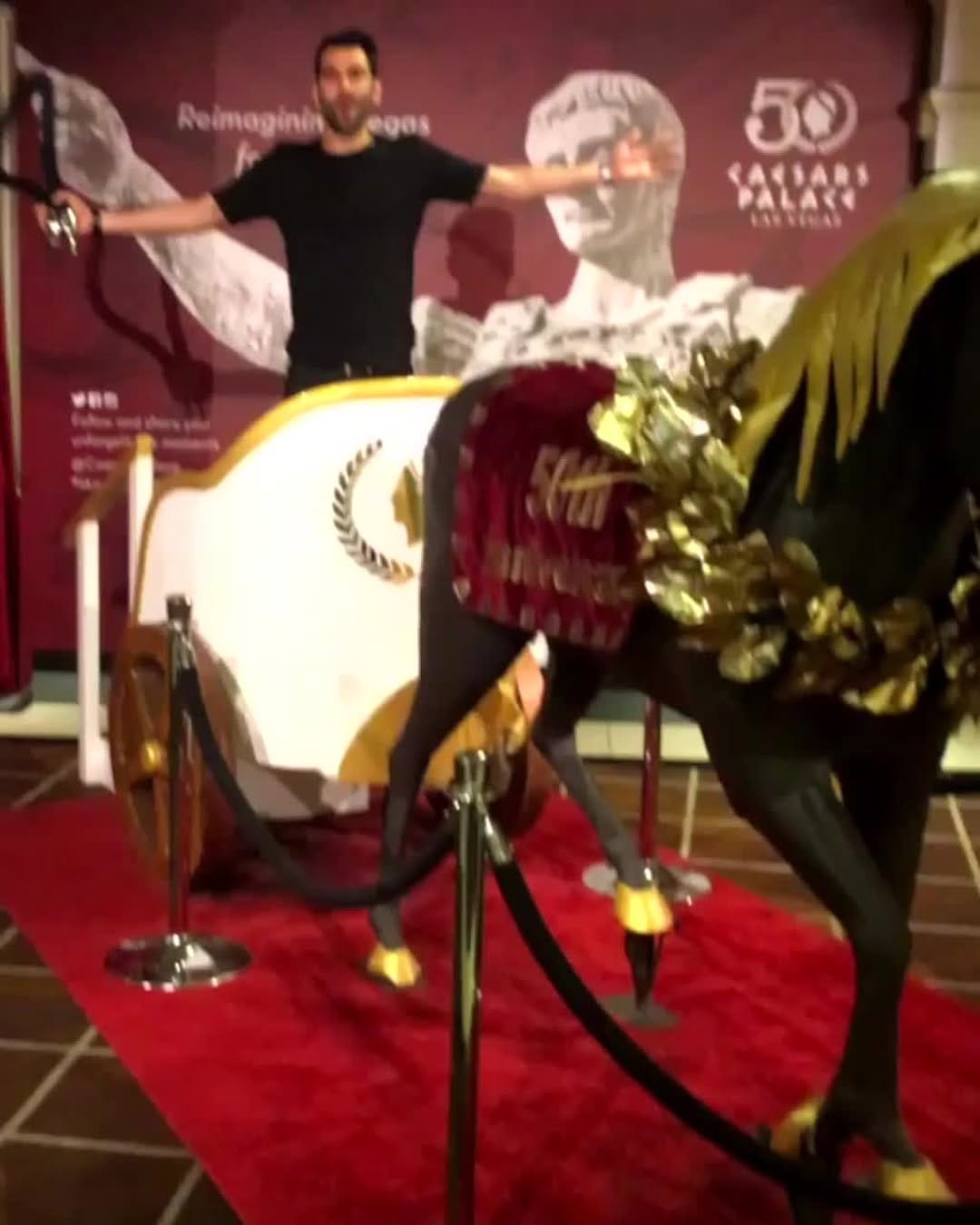 Post 10 by Jonathan Lipman on Instagram (video)