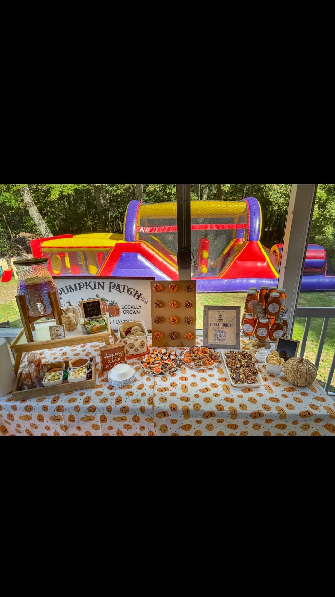 Post 8 by AMANDA OUELLETTE on Instagram (video)