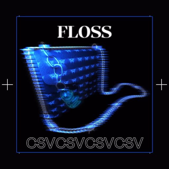 Post 1 by CSV on Instagram (video)