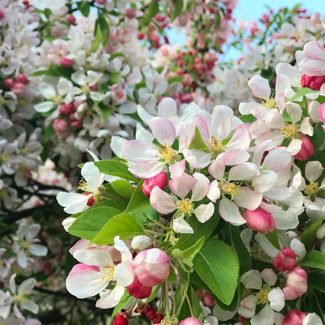 Post 2 by Amy | Loved By Amy Louise  💓 on Instagram (image)