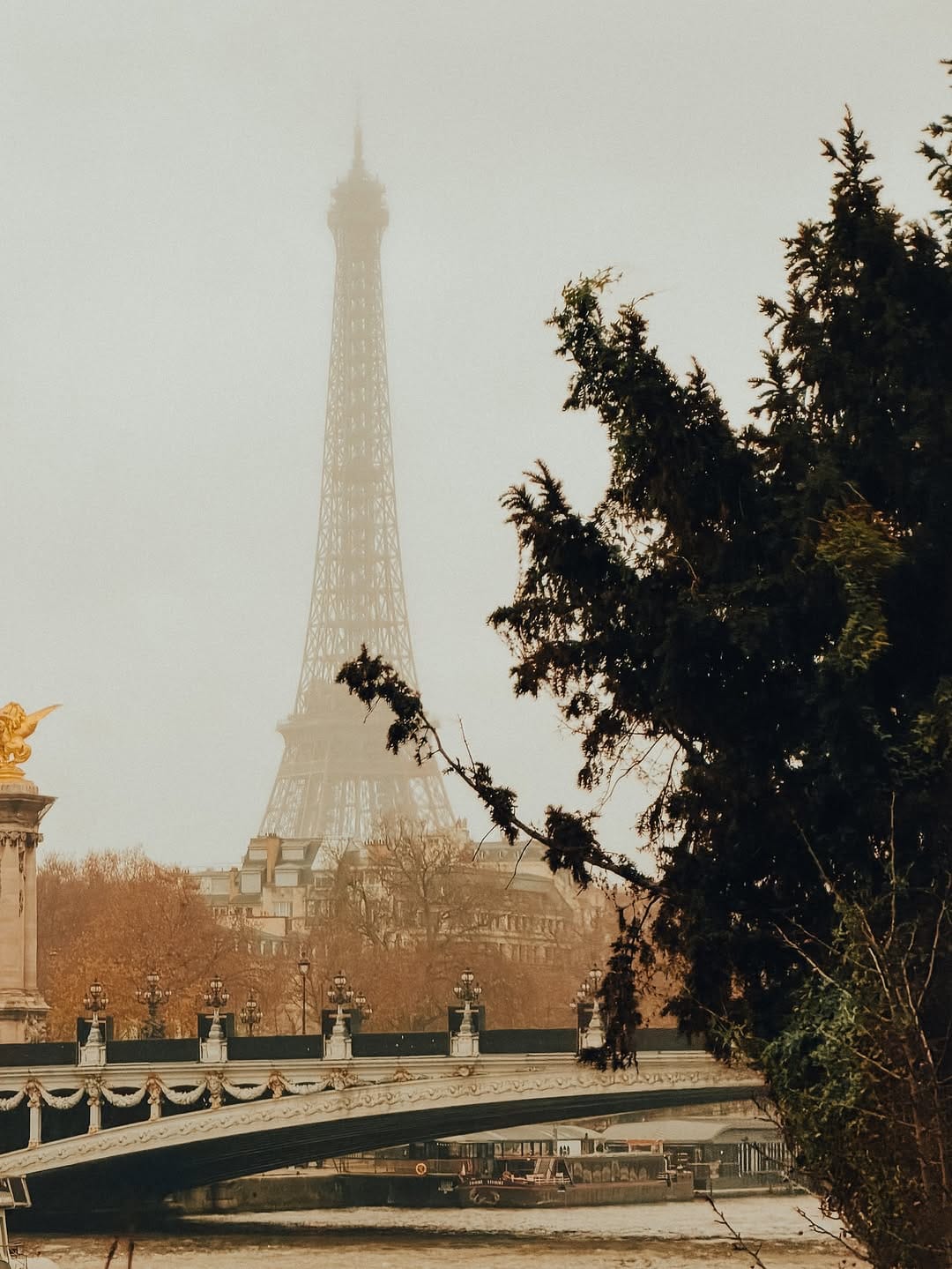 Post 8 by Alireza Hamid on Instagram (image)