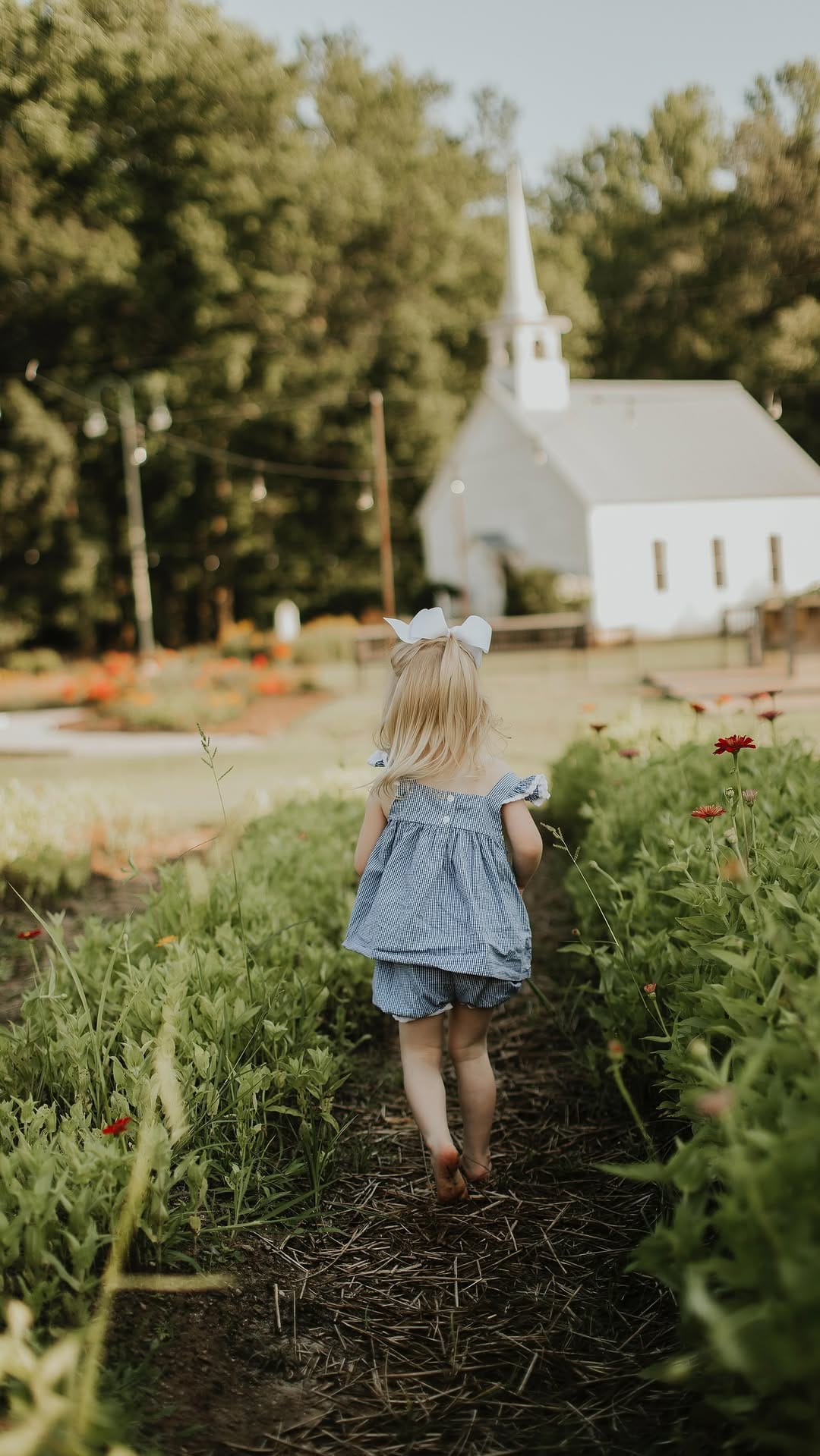 Post 2 by chelsea catherine cobb on Instagram (video)