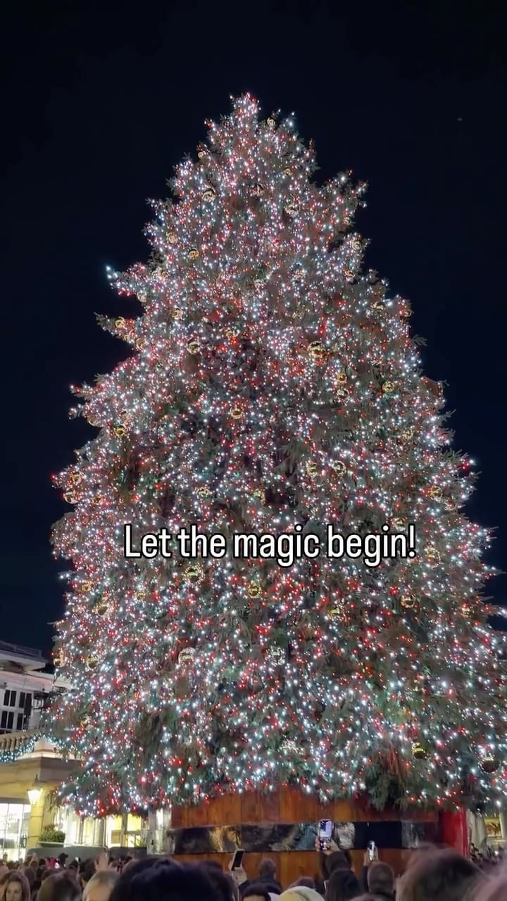 Post 8 by Sara Shbib | UGC Creator on Instagram (video)