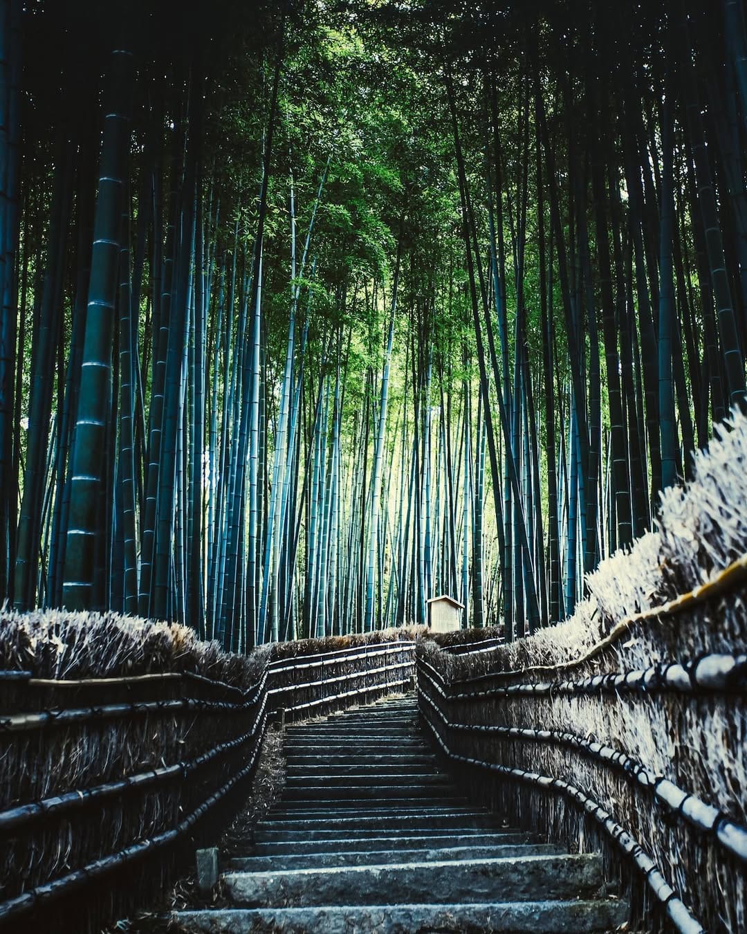 Post 1 by Siôn Smith on Instagram (image)