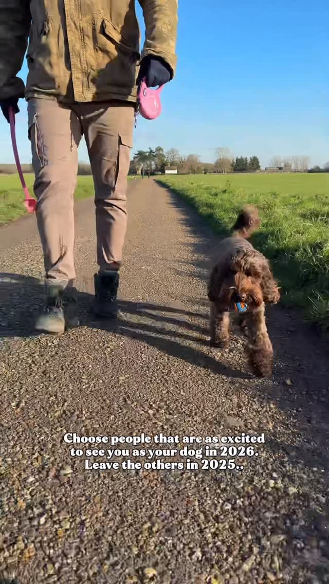 Post 6 by Gabriela & Ruby 🐾 Content Creator & Dog Friendly Travel on Instagram (video)