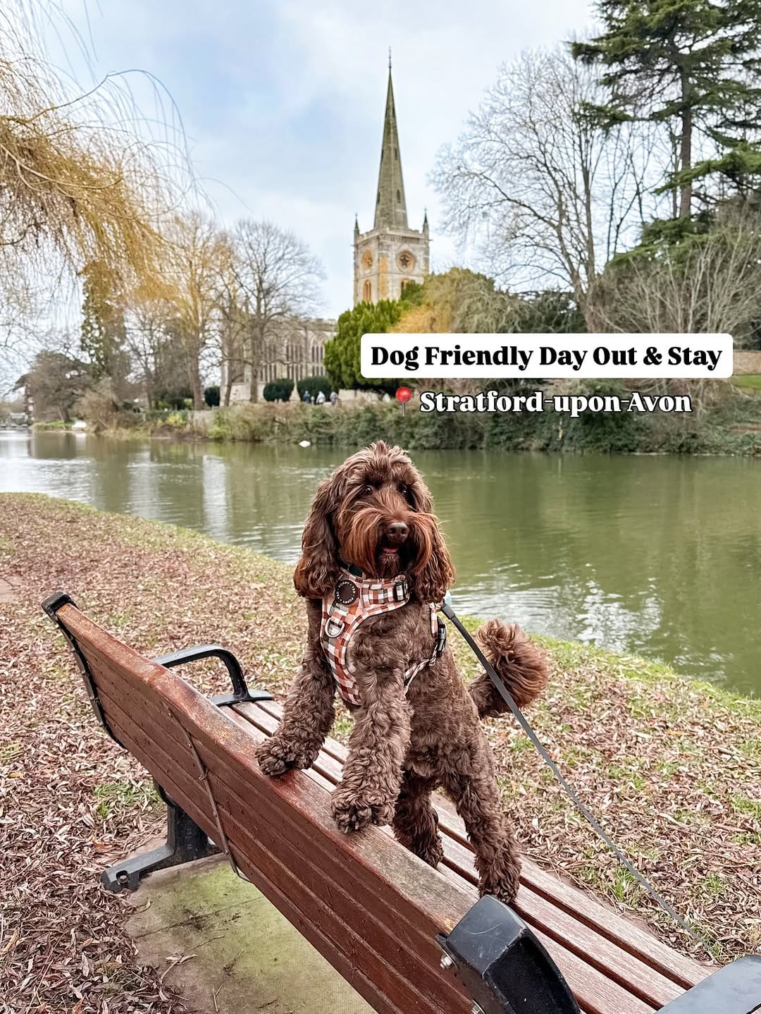 Post 2 by Gabriela & Ruby 🐾 Content Creator & Dog Friendly Travel on Instagram (carousel)