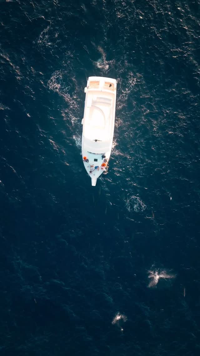 Post 4 by Caroline Smith on Instagram (video)